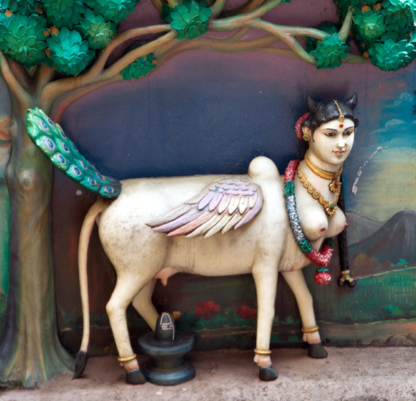 تمثال لبقرة الوفرة Kamadhenu في معبد هندوسي